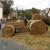 Erntefest 2012 007