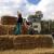 Erntefest 2012 031